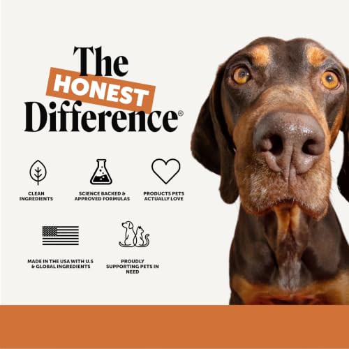 Flea and Tick Prevention for Dogs
