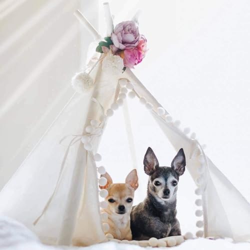 Pet Teepee Bed for Cats (Small)