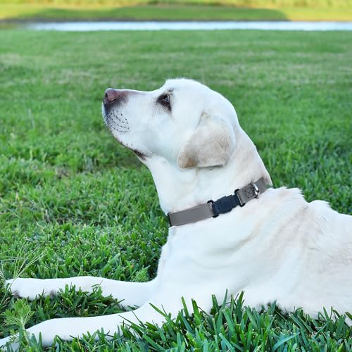 Biothane Waterproof Dog Collar with Herm Sprenger Black Stainless Steel Quick Release Buckle (W 3/4" x L 12"-19" / Battleship Gray)