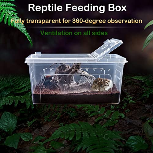 2 Pack Reptile Box Escape