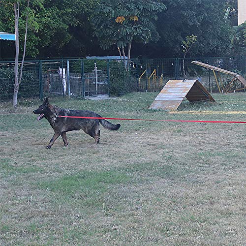 Dog Puppy Obedience Recall Training Agility Lead (Orange / 15 Feet)