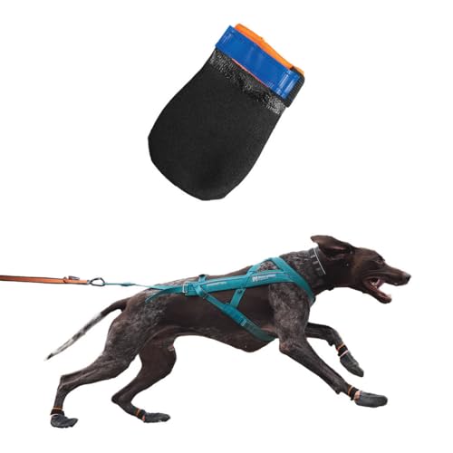 Dog Boots for Hot Pavement (Large)
