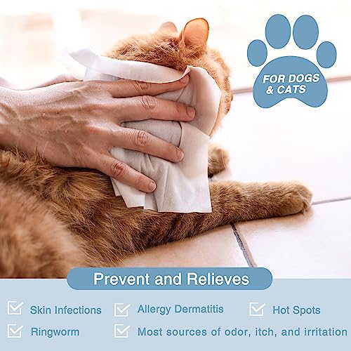 Antifungal and Antibacterial All Natural Wipes for Dogs & Cats