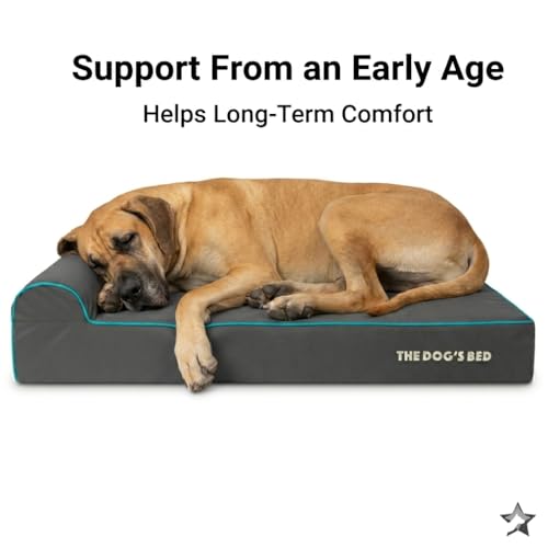 The Dog’s Bed Orthopedic Memory Foam Dog Bed with Headrest XL 6 (Grey with Blue Trim / XL (46"L x 28"W x 6"Th))