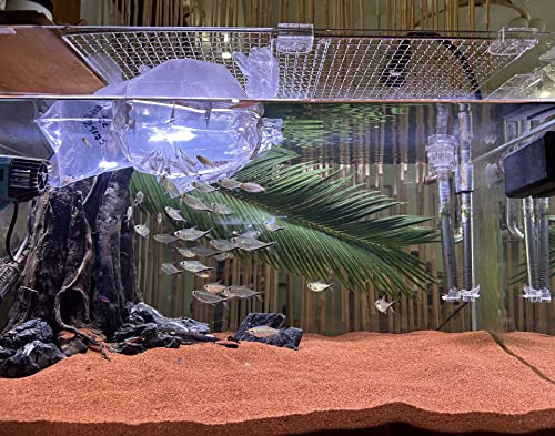 11lb Natural South American Rainforest Sand