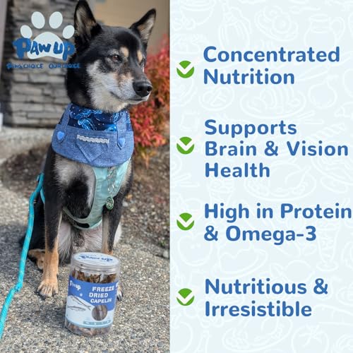 Freeze Dried Capelin with Roe Dog Treats