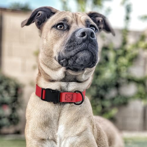 Biothane Waterproof Dog Collar with Quick Release Buckle Strong Coated Nylon Webbing with Odor (1"W by 15-25"L / Cherry Red)