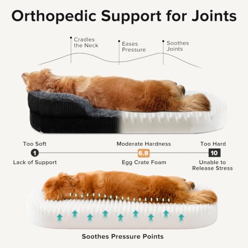 Fluffy Orthopedic Dog Beds Large Sized Dog (Black / XL-PLUS (45"x 32"x 7"))