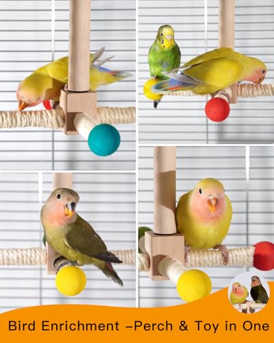 Bird Perch Toy