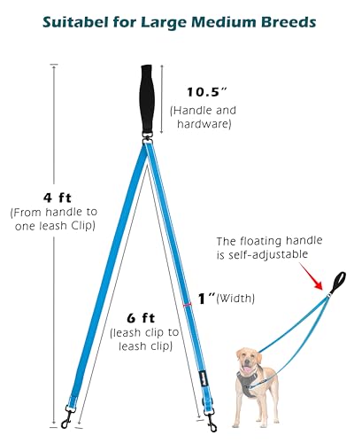 Two Point Control Dog Leash (Light Blue)