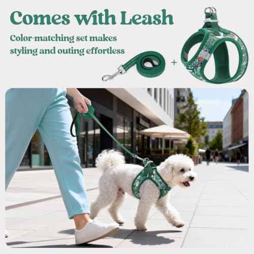 Dog Harness Small Sized and Leash Set (Rainforest Green / Xs (chest: 13.3 - 15.5"))
