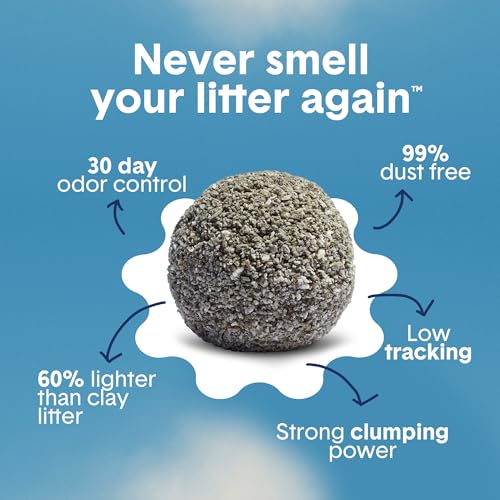 Boxie Unscented Natural Lightweight Cat Litter 30+ Day Odor Control 16.5 lb (3 MONTH (16.5 LB))