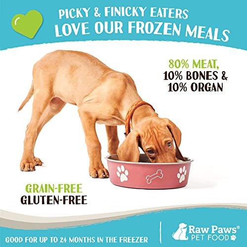 Frozen Raw Beef Recipe Dog & Cat Food (1 Pound (Pack of 10))