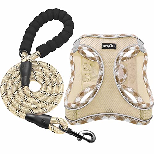 Dog Harness with Leash Set (XL / Beige)