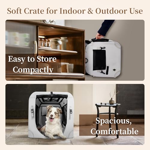Extra Large Cat Carrier for 2 Cats Collapsible Soft Pet XL Crate for Large (24.0"L x 16.5"W x 16.5"H / Beige)
