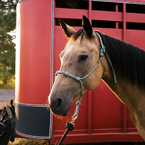 Horse Rope Training Halter (Turquoise Camo / Mule)