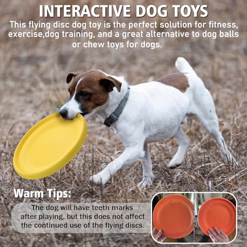 Dog Flying Disc (Yellow)