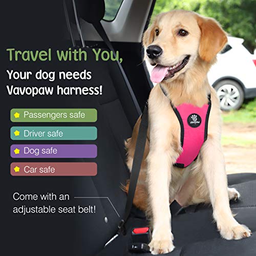 Dog Seat Belt Vest Harness for Car (Magenta / L (Chest: 22-32.3", Neck: 16.9-26"))