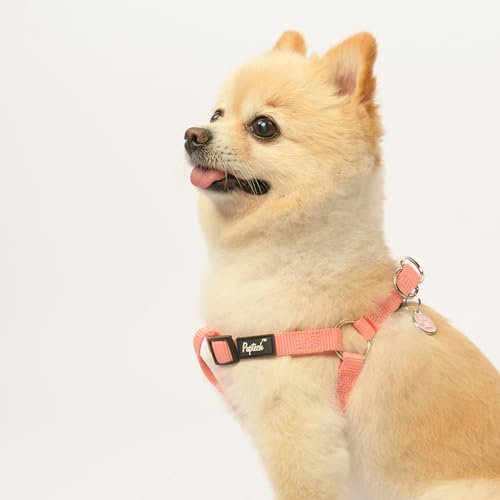 No Pull Dog Harness Large Sized Step (LightCoral / Large)