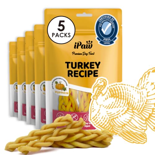 Turkey Dog Treats (3.5 Ounce (Pack of 5) / Pumpkin, Braided Stick)