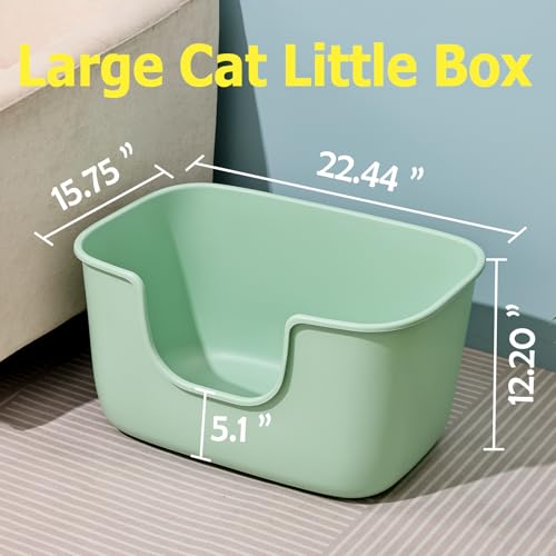Extra Large Litter Box with High Sides (Light Green)