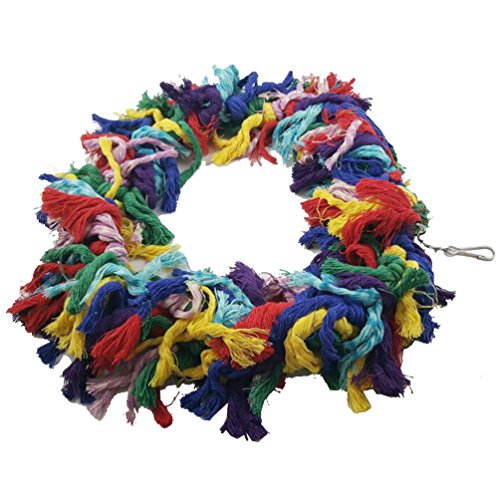Bird Parakeet Colorful Swing Toys (Large)