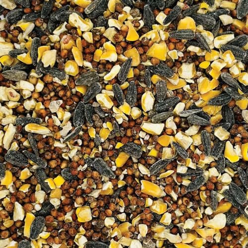 Wild Bird Feed