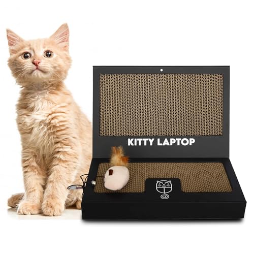 Toy Cat Laptop with 2 Scratchboards + Catnip Mouse Toy for Cats + 50pack Cat Sticker