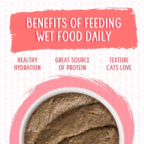 Wet Cat Food Jolly Good Fares with Chicken and Salmon Pate
