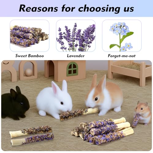 Bunny Chew Sticks