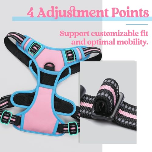 Dog Harness No Pull Medium Sized with 2 Leash Clips (Medium / Pink & Blue)