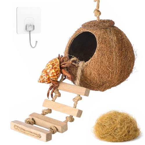 Gecko Tank Accessories