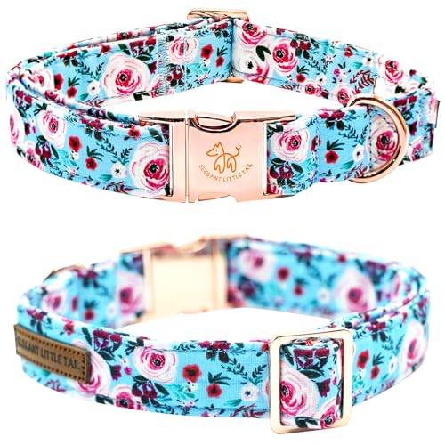 Summer Dog Collar (Blue Rose / X-Large (Pack of 1))