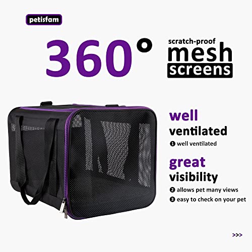Soft Pet Carrier for Large and Medium Cats (Black)