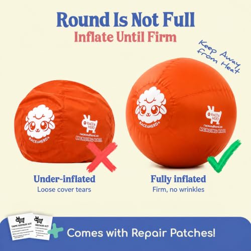 25" Herding Ball for Dogs (Tangerine - L 25" Herding Ball Set / L 25")