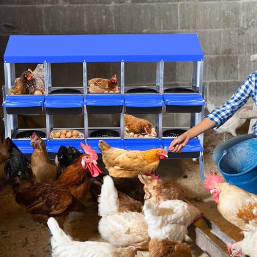 Chicken Nesting Boxes (56.7"L x 17.5"W x 11.1"H / Blue)