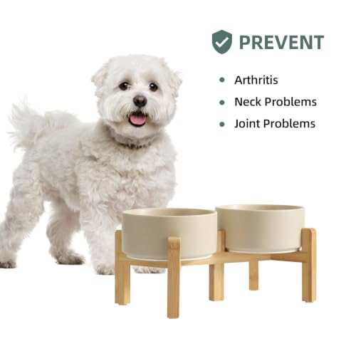 Dog Bowls Elevated (Matte Khaki)