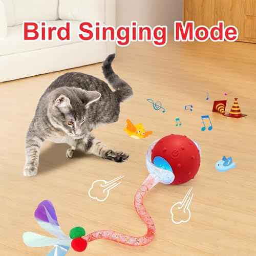 2PCS Interactive Cat Toys for Indoor Cats with 6 Tails (2pc R+B)