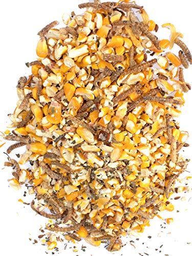Mealworm Black Soldier Fly Larvae (10 pounds)