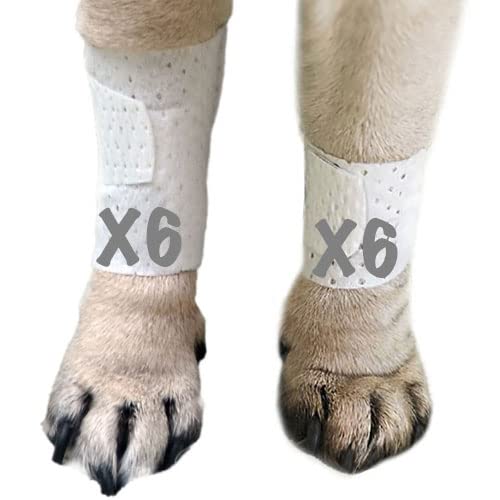 Basic Leg Bandages for Dogs (Small 12-Pack)