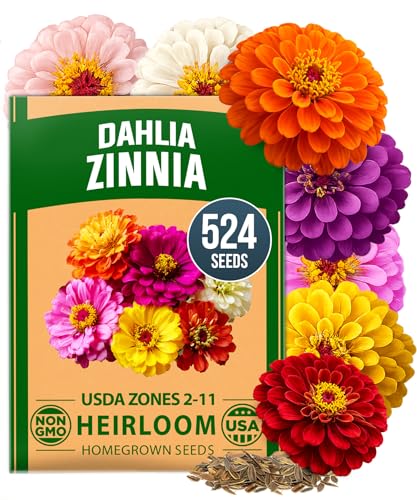 Zinnia Dahlia Seeds