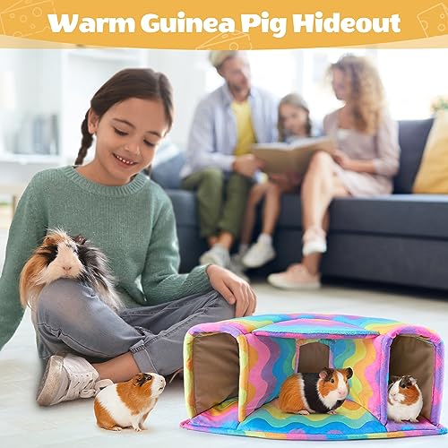 Washable Guinea Pig Hideout Large Cozy Bed for Small Pets (Rainbow)