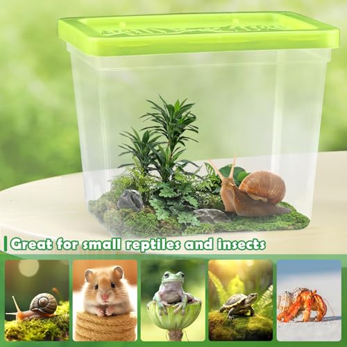 48 Pack Small Plastic Reptile Carrier Tarantula Enclosure Breeding Box Hatching Container for Spider Snail Turtle Hermit Crab Insect
