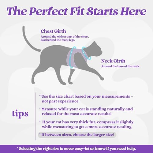 Cat Harness and Leash Set (XL / Purple)