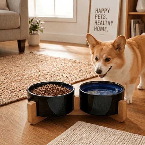 Ceramic Dog and Cat Bowl Set with Wooden Stand (3.6 cups / Starry Blue × 2)
