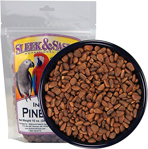Pine Nuts for Birds (1 Count (Pack of 1))