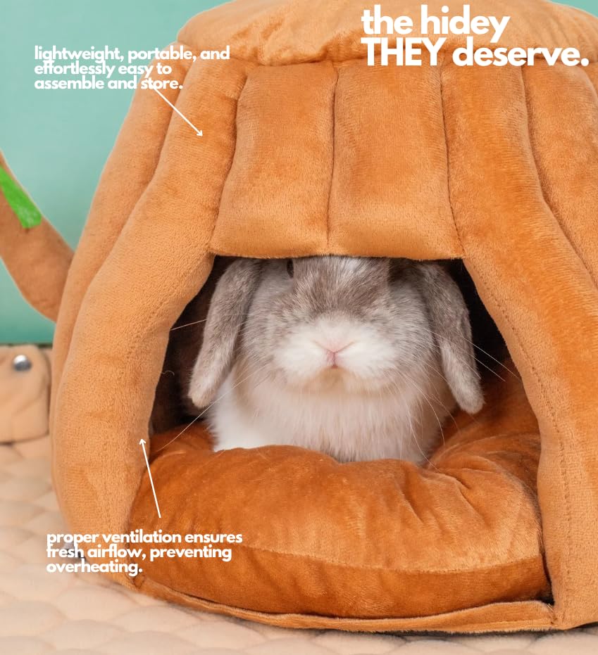 Guinea Pig Hideout & Bed (Small)