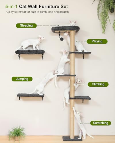 Cat Wall Shelves Set (Grey)