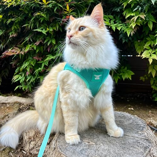 Travel Cat x Jackson Galaxy Harness and Leash Set (Small)