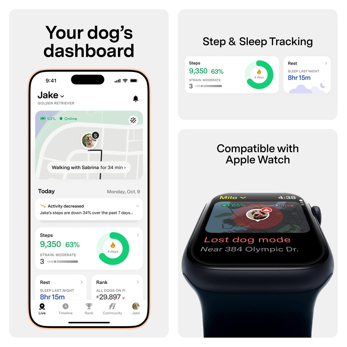 Series 3+ GPS Dog Collar & Tracker (Blue / Medium)